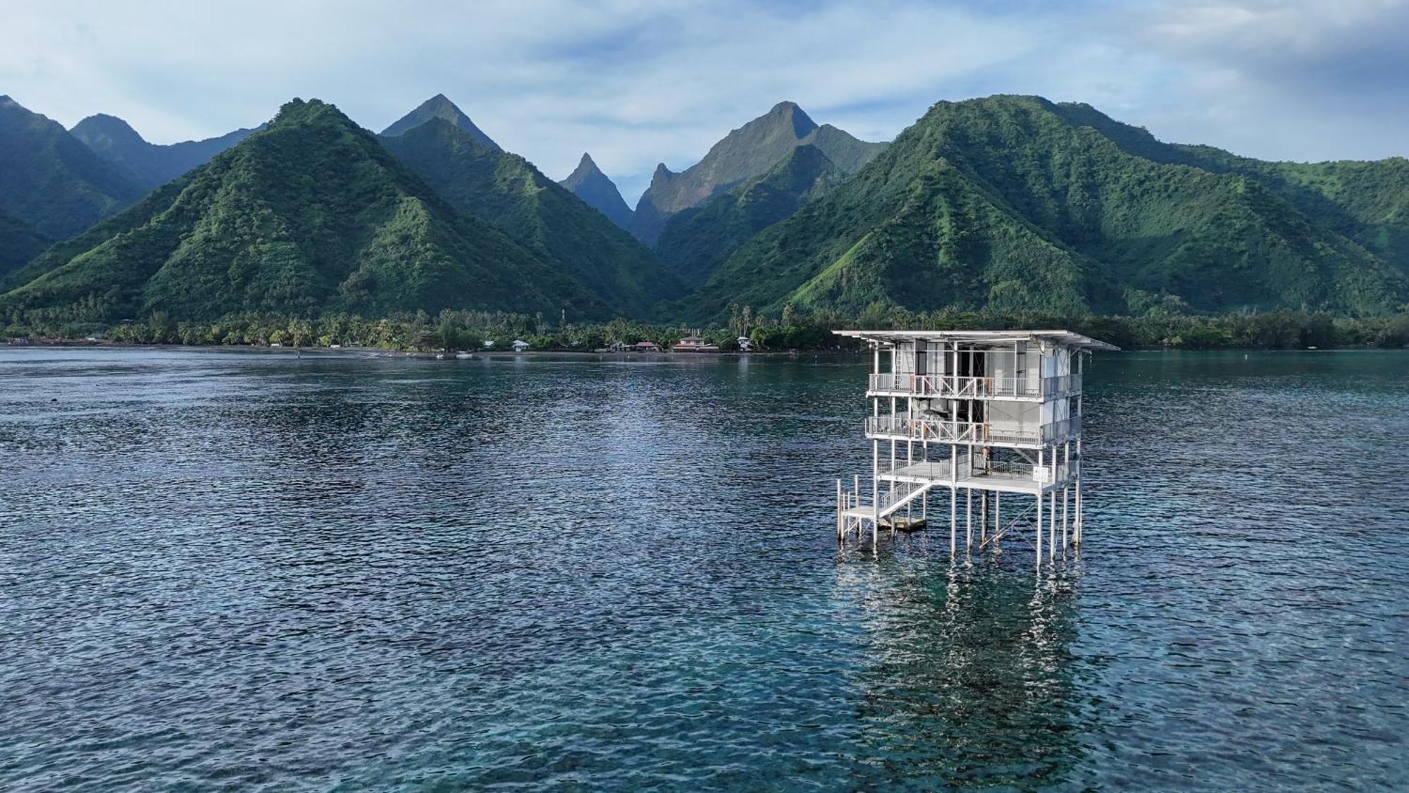 Hava'E Lodge Teahupoo المظهر الخارجي الصورة